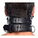 Leather Head Harness with Removeable Gag