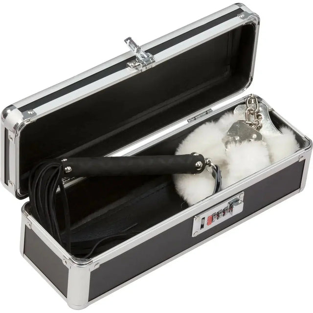 Lockable Vibrator Case