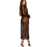 Long Sleeve Dotted Mesh Robe & Panty Set - Queen