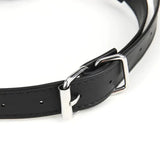 Lux Fetish Breathable Gag with Nipple Clamp