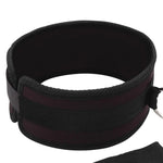 Lux Fetish Collar & Leash Set