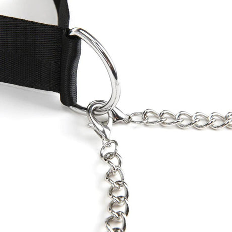 Lux Fetish Collar & Nipple Clamps