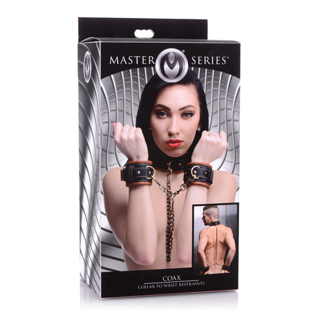 Master Series Coax Collar To Wrist Restraints