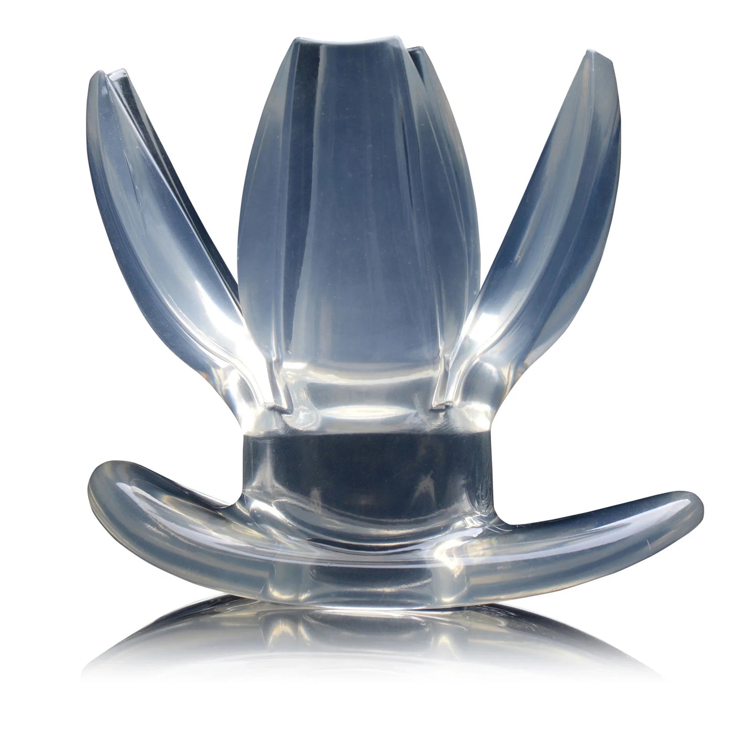 Clear Butt Plugs - Best Sellers 2026 - HotCherry Clear Butt Plugs - Best Sellers 2026 - HotCherry