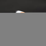 MistressMale Sex Partner with Thrusting Dildo