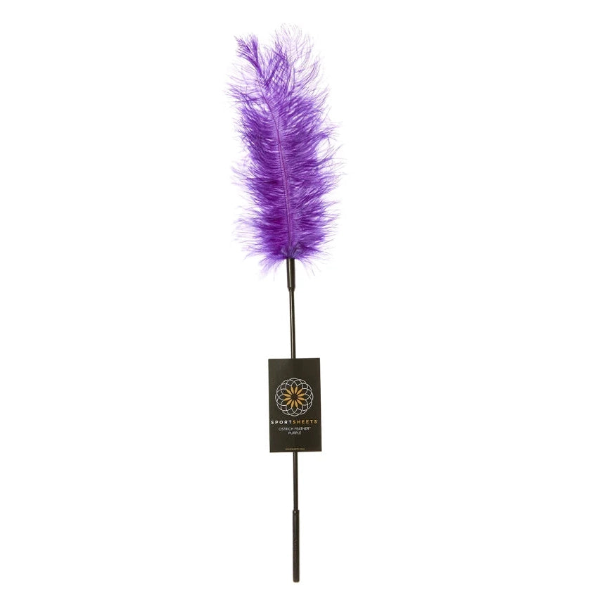 Ostrich Feather Tickler
