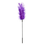 Ostrich Feather Tickler