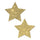 Pastease Glitter Star Pasties