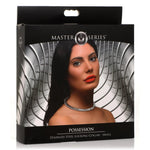 Possession Stainless Steel Locking Collar