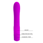Pretty Love Rechargeable Vibrator