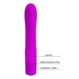 Pretty Love Rechargeable Vibrator