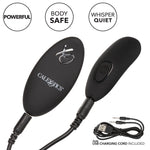 Remote Control Lace Panty & Vibe Set