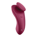 Satisfyer Sexy Secret Panty Vibe