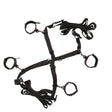 Scandal Over the Bed Cross Restraint System