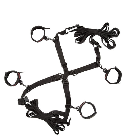 Scandal Over the Bed Cross Restraint System