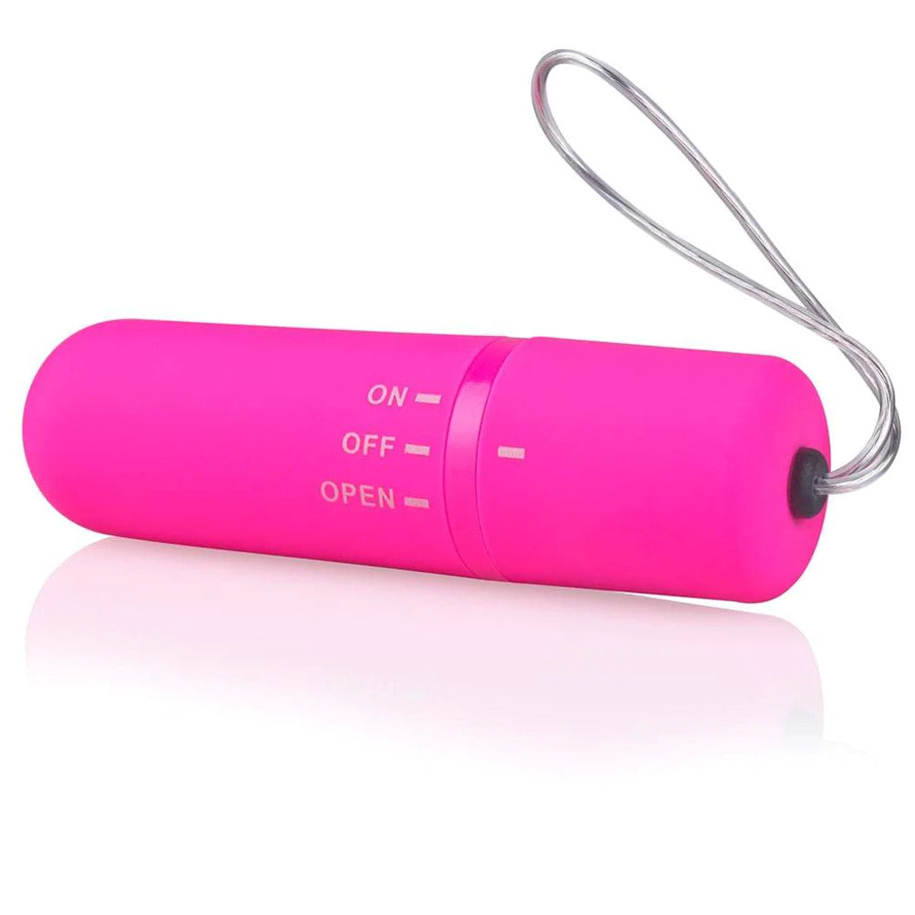 Screaming O Vibrating Panties with Remote Control