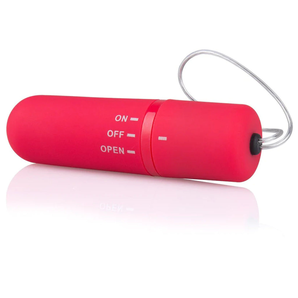 Screaming O Vibrating Panties with Remote Control