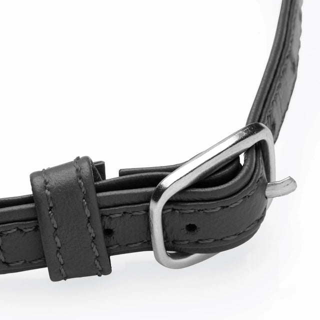 Sex Pet Leather Choker with Silver Ring - Black
