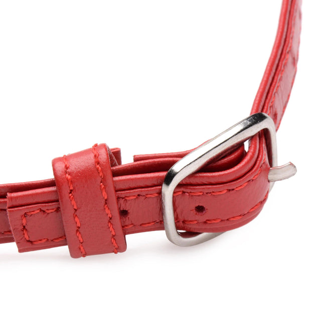 Sex Pet Leather Choker with Silver Ring - Red