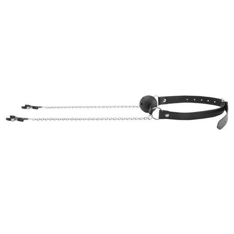 Black leather collar with chain on a white background