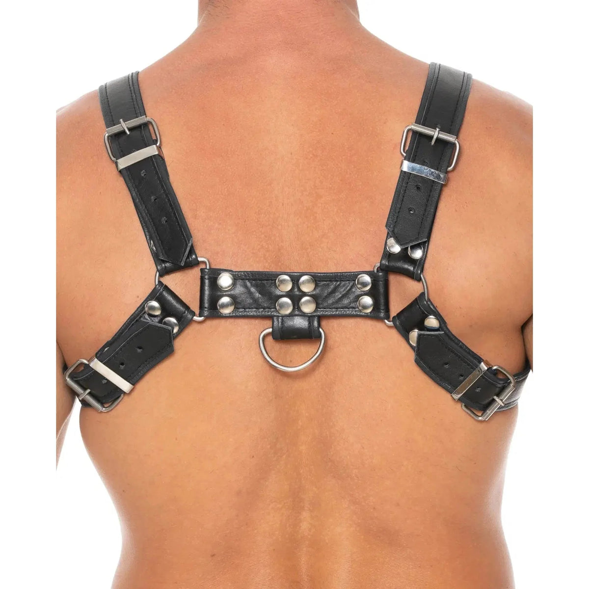 Shots Uomo Chest Bulldog Harness
