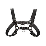 Shots Uomo Chest Bulldog Harness