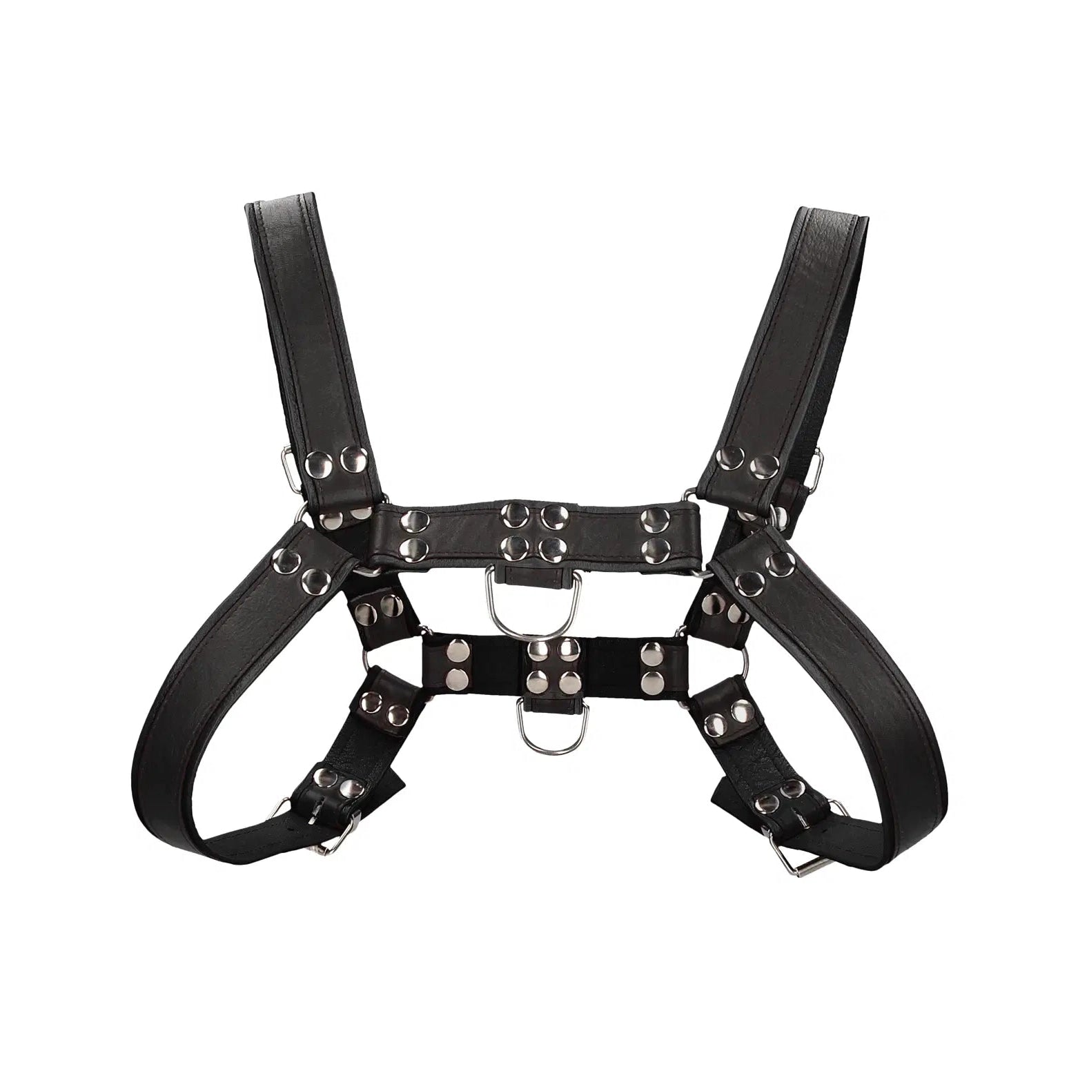 Shots Uomo Chest Bulldog Harness