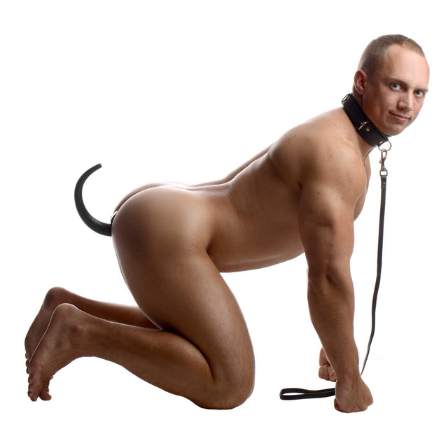 Sick Puppy Leash and Collar Set