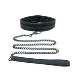 Sincerely Lace Leash & Collar