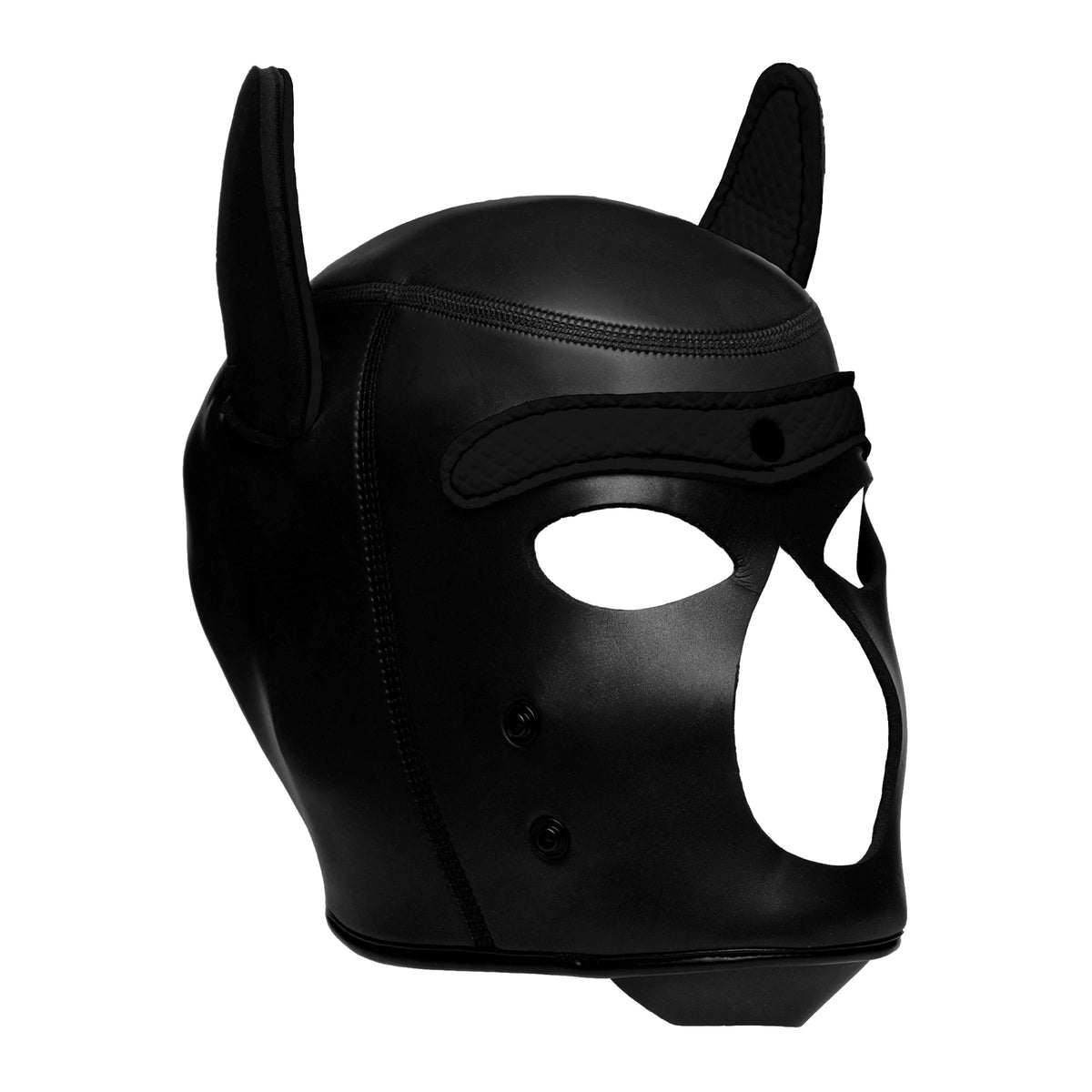 Spike Neoprene Puppy Hood