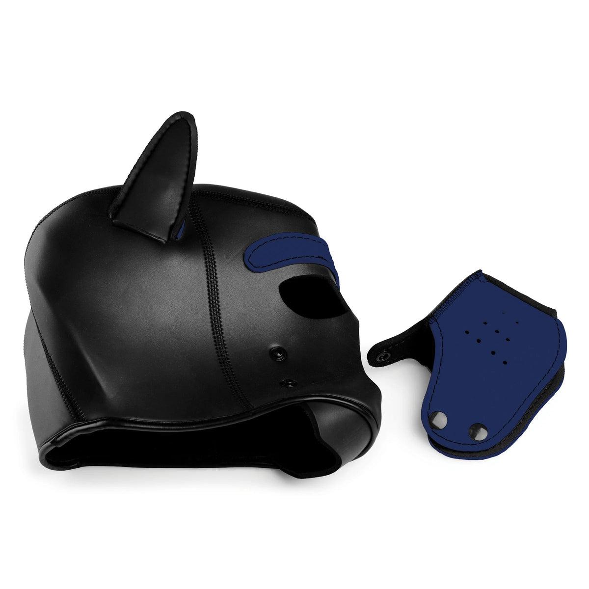Spike Neoprene Puppy Hood