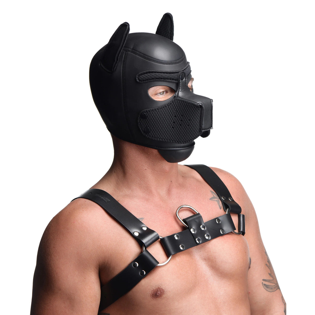 Spike Neoprene Puppy Hood