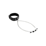Sportsheets Collar with Nipple Clamps