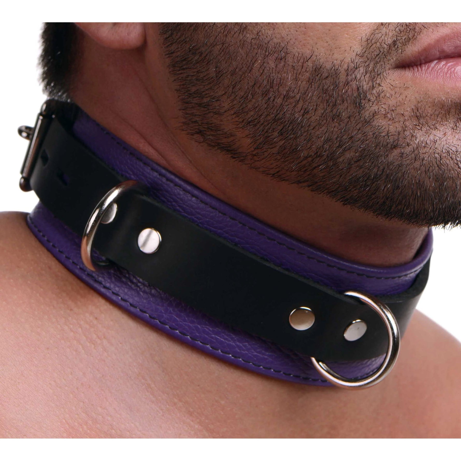 Strict Leather Deluxe Black and Purple Locking Collar
