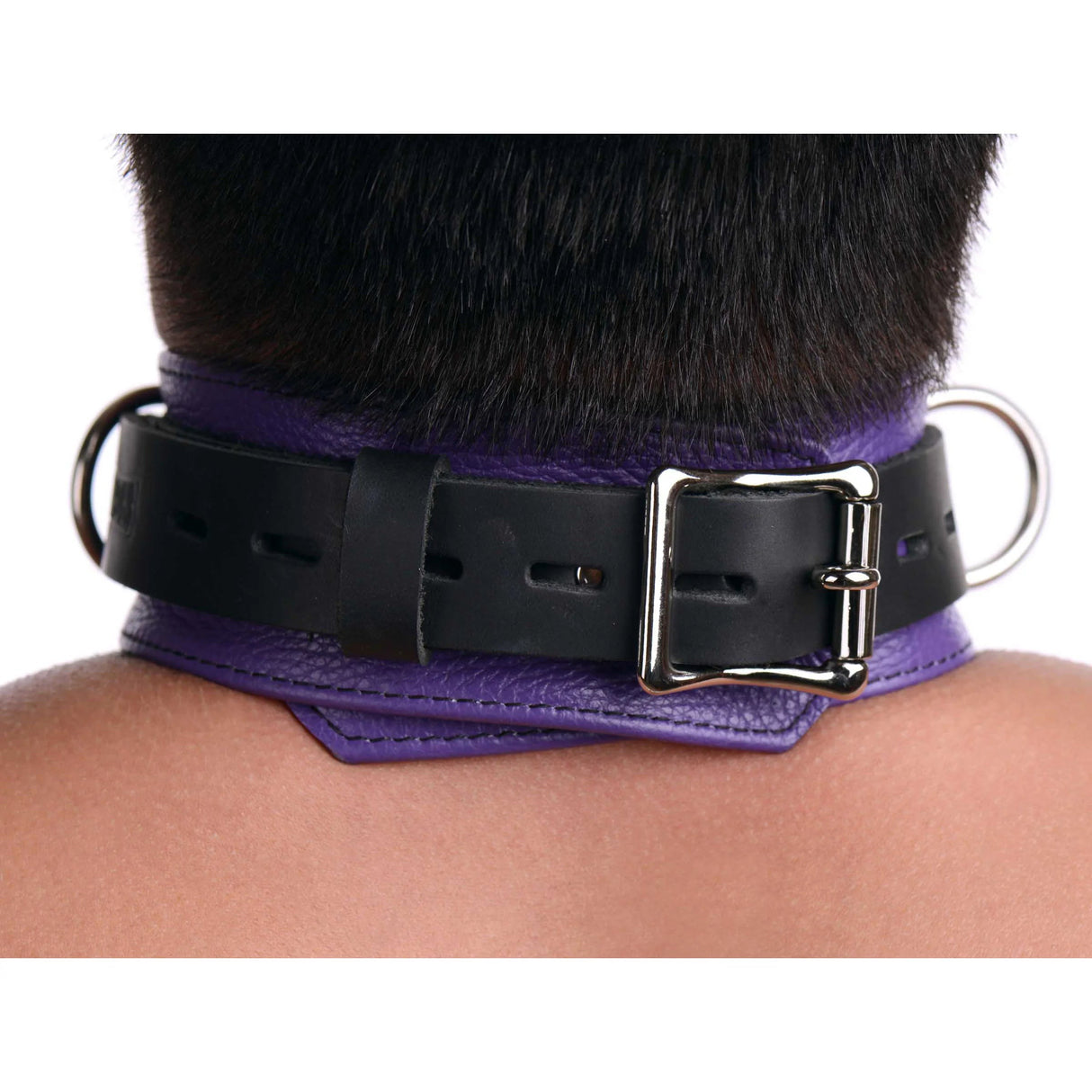 Strict Leather Deluxe Black and Purple Locking Collar