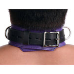 Strict Leather Deluxe Black and Purple Locking Collar