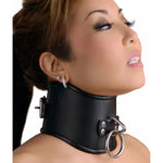 Strict Leather Posture BDSM Collar