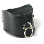 Strict Leather Posture BDSM Collar