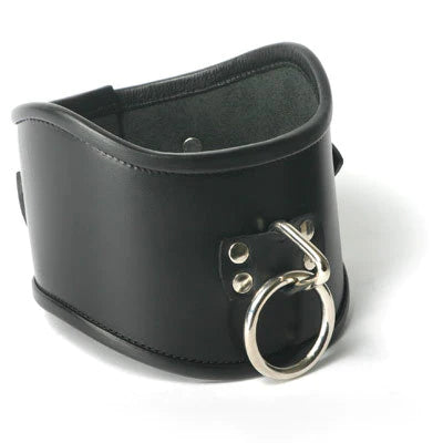 Strict Leather Posture BDSM Collar