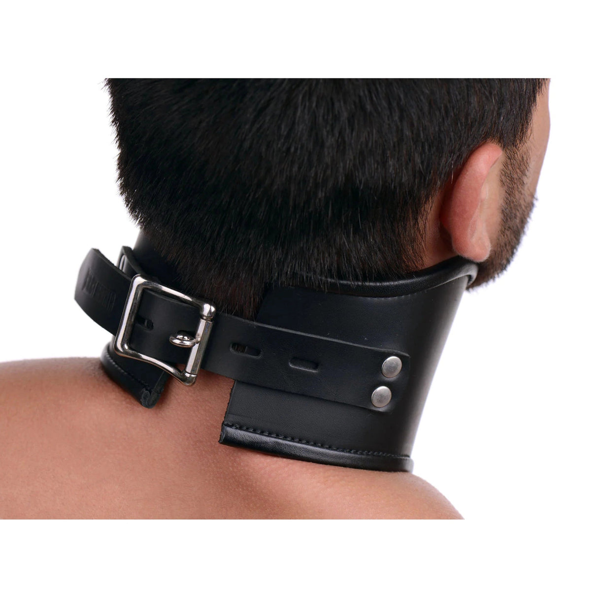 Strict Leather Posture BDSM Collar