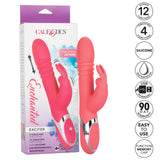 Enchanted Exciter Thrusting Rabbit Vibe