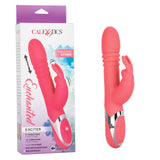 Enchanted Exciter Thrusting Rabbit Vibe