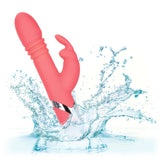 Enchanted Exciter Thrusting Rabbit Vibe