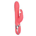 Enchanted Exciter Thrusting Rabbit Vibe