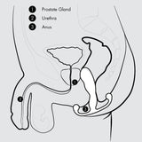 Aneros Trident Series MGX Male Prostate Stimulator
