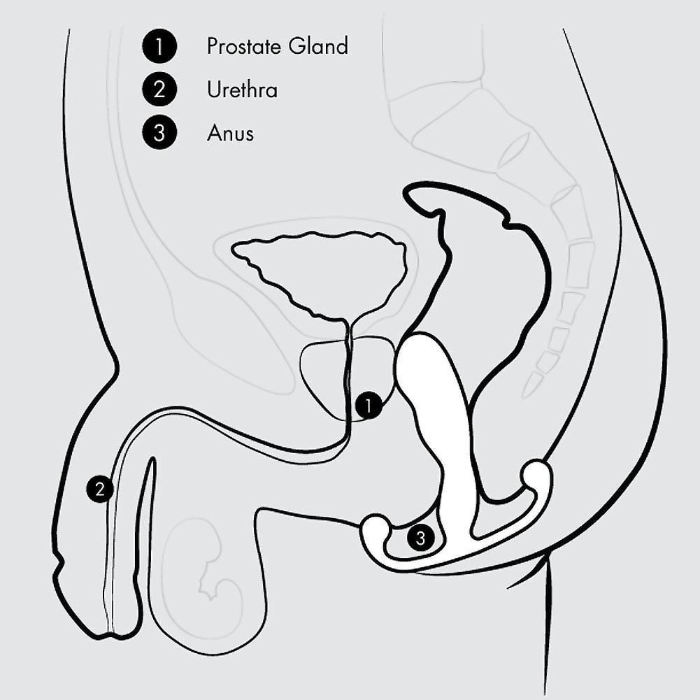 Aneros Trident Series Maximus Male Prostate Stimulator