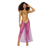 Dreamgirl Harem Slave Costume