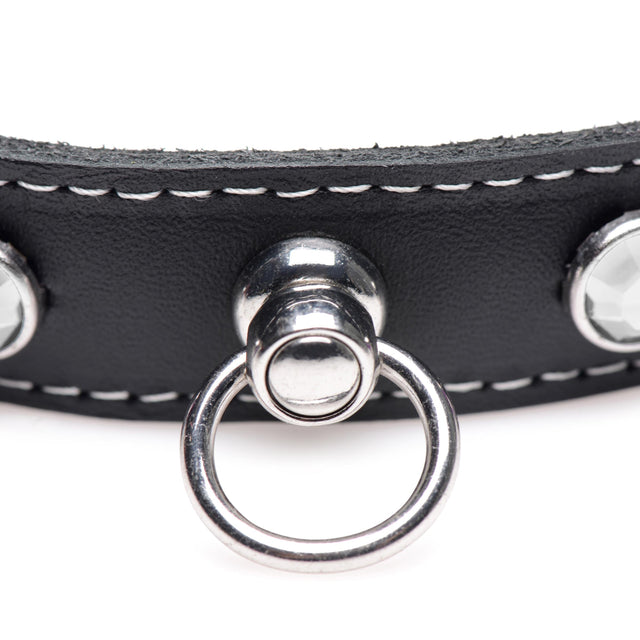 Fierce Vixen Leather Choker with Rhinestones