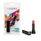 Hide & Play Lipstick Bullet Vibrator