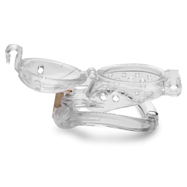 Lockdown Customizable Chastity Cage